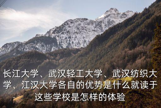 長江大學、武漢輕工大學、武漢紡織大學、江漢大學各自的優勢是什么就讀于這些學校是怎樣的體驗