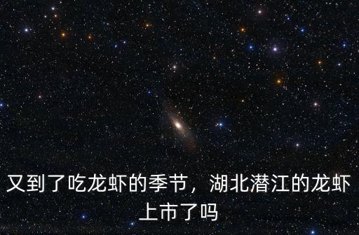 湖北龍蝦怎么樣了,湖北潛江的龍蝦上市了嗎