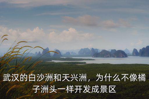 武漢開發(fā)的的怎么樣的,武漢發(fā)展的怎么樣