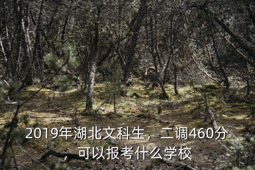 湖北考生文科460分怎么報,目前高一文科460分左右