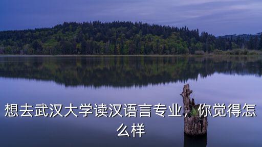 想去武漢大學(xué)讀漢語(yǔ)言專業(yè)，你覺得怎么樣