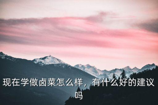 現在學做鹵菜怎么樣，有什么好的建議嗎