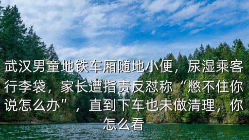 武漢男童地鐵車廂隨地小便，尿濕乘客行李袋，家長遭指責反懟稱“憋不住你說怎么辦”，直到下車也未做清理，你怎么看