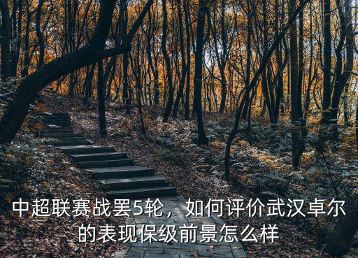 中超聯賽戰罷5輪，如何評價武漢卓爾的表現保級前景怎么樣