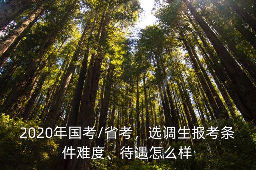 2020年國考/省考，選調生報考條件難度、待遇怎么樣