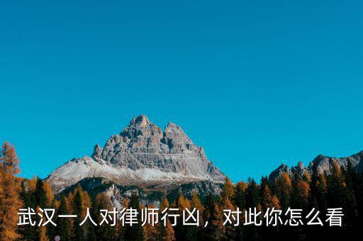 怎么看武漢槍擊案,對此你怎么看
