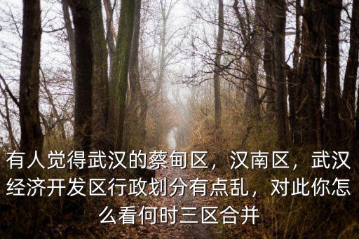 有人覺得武漢的蔡甸區(qū)，漢南區(qū)，武漢經(jīng)濟開發(fā)區(qū)行政劃分有點亂，對此你怎么看何時三區(qū)合并