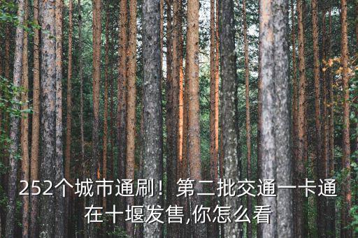 252個城市通刷！第二批交通一卡通在十堰發售,你怎么看
