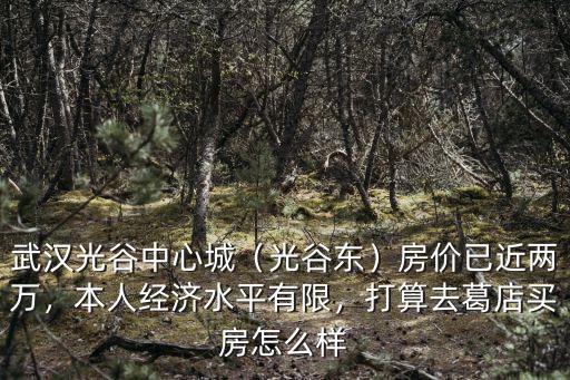 武漢藥谷怎么樣,武漢這個(gè)城市怎么樣