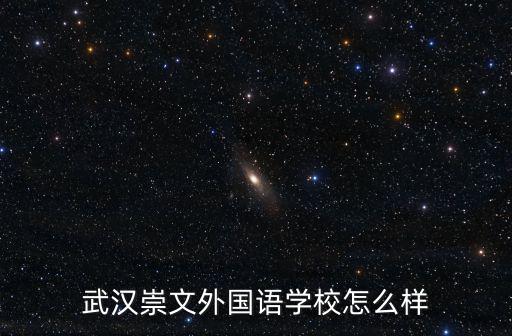 武漢崇文外國語學校怎么樣
