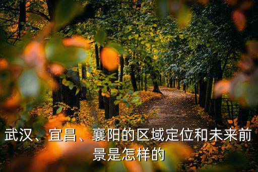 武漢、宜昌、襄陽的區(qū)域定位和未來前景是怎樣的