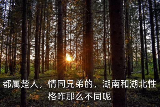 都屬楚人，情同兄弟的，湖南和湖北性格咋那么不同呢