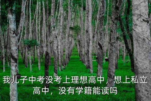 我兒子中考沒考上理想高中，想上私立高中，沒有學籍能讀嗎