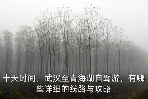 十天時間，武漢至青海湖自駕游，有哪些詳細(xì)的線路與攻略