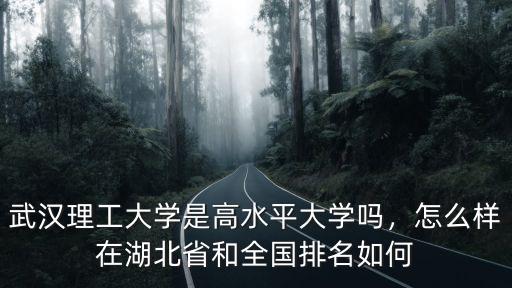 武漢理工大學郭順生怎么樣,武漢理工大學口碑怎么樣