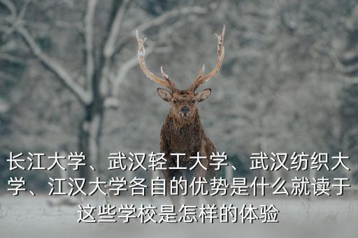 長江大學、武漢輕工大學、武漢紡織大學、江漢大學各自的優(yōu)勢是什么就讀于這些學校是怎樣的體驗