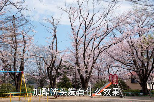 加醋洗頭發有什么效果