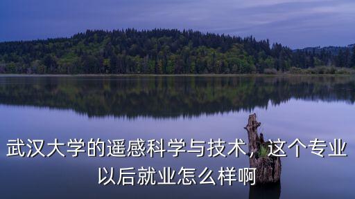 武漢大學(xué)研究生遙感專業(yè)怎么樣,遙感專業(yè)前景怎么樣