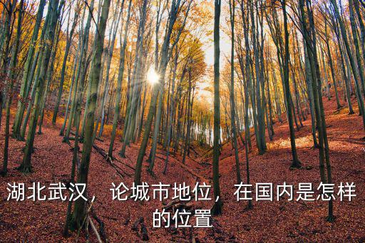 武漢城市怎么沒有綠化的,武漢城市綠心；后官湖