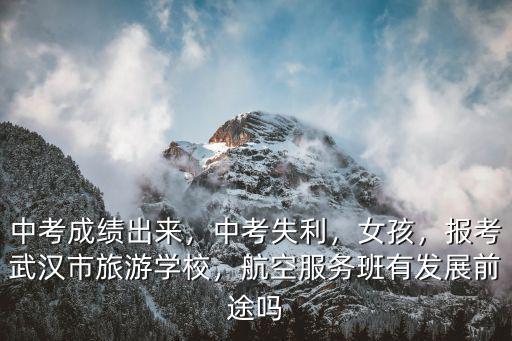 中考成績出來，中考失利，女孩，報考武漢市旅游學校，航空服務班有發展前途嗎