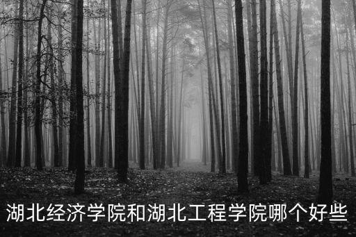 湖北經濟學院和湖北工程學院哪個好些