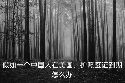 美國簽證武漢人怎么辦,護照簽證到期怎么辦