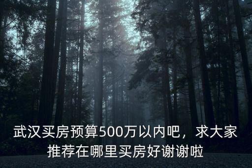 武漢買房預算500萬以內吧，求大家推薦在哪里買房好謝謝啦