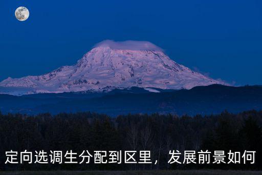 定向選調(diào)生分配到區(qū)里，發(fā)展前景如何