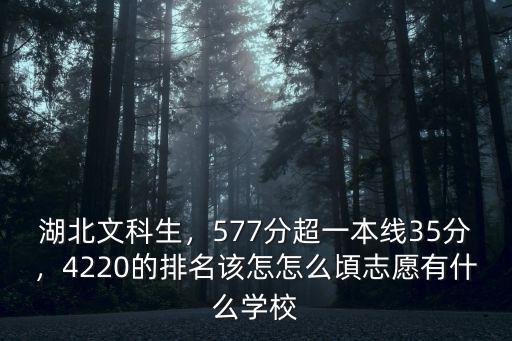 湖北文科生，577分超一本線35分，4220的排名該怎怎么頃志愿有什么學(xué)校