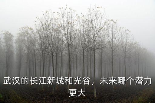 武漢中光谷未來激光怎么樣,武漢的長江新城和光谷
