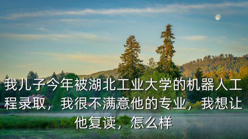 湖北工業大學怎么調劑專業,湖北工業大學