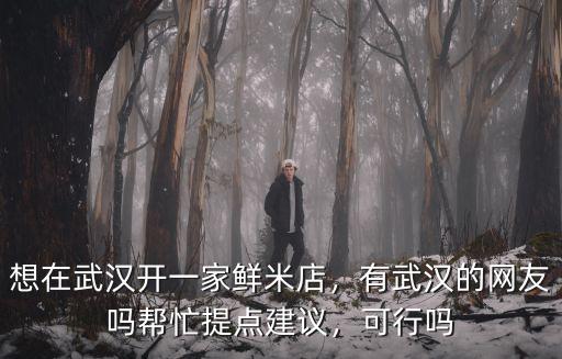 想在武漢開一家鮮米店，有武漢的網友嗎幫忙提點建議，可行嗎