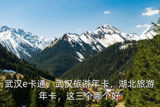 武漢e卡通，武漢旅游年卡，湖北旅游年卡，這三個哪個好