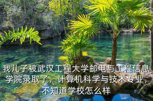 我兒子被武漢工程大學郵電與工程信息學院錄取了，計算機科學與技術專業，不知道學校怎么樣