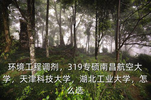 環(huán)境工程調(diào)劑，319專碩南昌航空大學(xué)，天津科技大學(xué)，湖北工業(yè)大學(xué)，怎么選