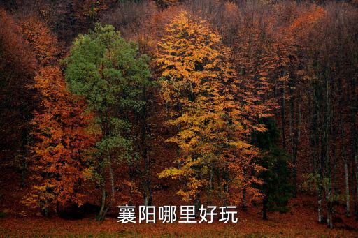 襄陽哪里好玩