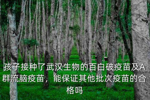 孩子接種了武漢生物的百白破疫苗及A群流腦疫苗，能保證其他批次疫苗的合格嗎