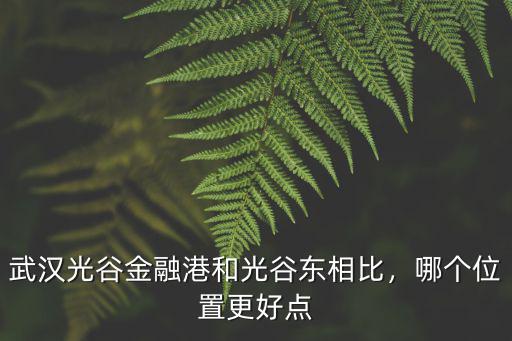 武漢光谷金融港和光谷東相比，哪個位置更好點