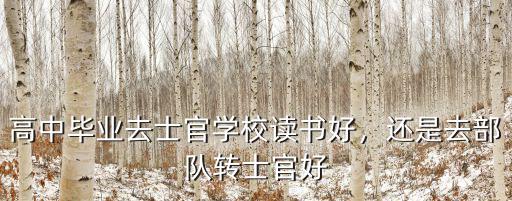 高中畢業去士官學校讀書好，還是去部隊轉士官好