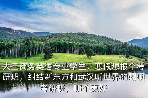 在武漢報一個新東方考研班怎么樣,考研輔導新東方考研怎么樣