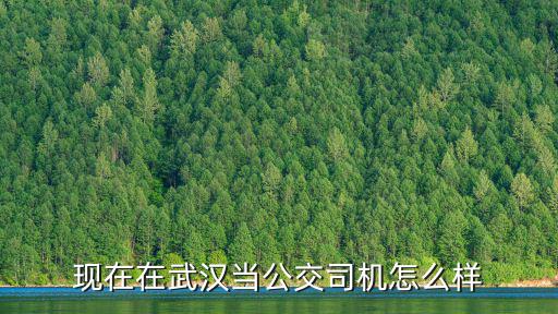 現(xiàn)在在武漢當(dāng)公交司機(jī)怎么樣