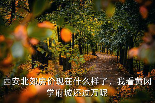 西安北郊房價現在什么樣了，我看黃岡學府城還過萬呢
