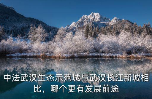 中法武漢生態(tài)示范城與武漢長江新城相比，哪個更有發(fā)展前途