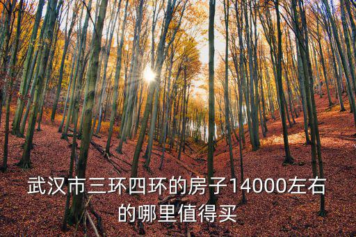 武漢市三環(huán)四環(huán)的房子14000左右的哪里值得買