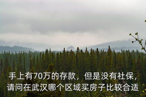 手上有70萬的存款，但是沒有社保，請問在武漢哪個區域買房子比較合適