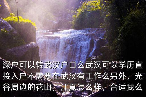 深戶可以轉武漢戶口么武漢可以學歷直接入戶不需要在武漢有工作么另外，光谷周邊的花山，江夏怎么樣，合適我么