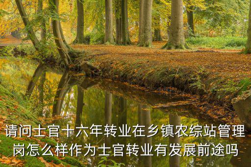 武漢轉業士官安置怎么樣,轉業士官進工商銀行怎么樣