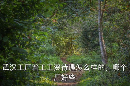 武漢工廠普工工資待遇怎么樣的，哪個廠好些