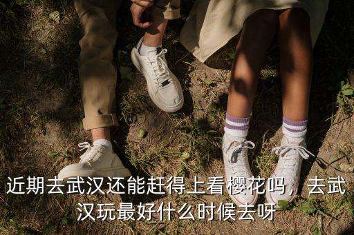 近期去武漢還能趕得上看櫻花嗎，去武漢玩最好什么時候去呀