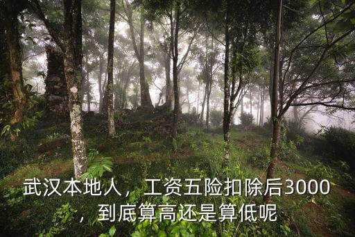武漢3000元工資怎么樣,在武漢一個月多少錢算高工資